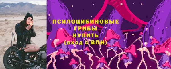 крисы Абаза